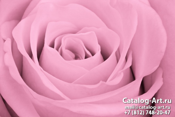 Натяжные потолки с фотопечатью - Розовые розы 51